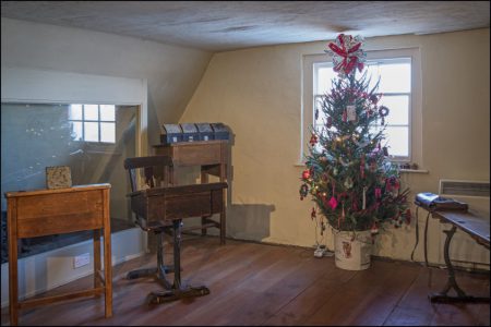 Christmas Trees 2016