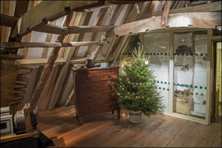 Christmas Trees 2016