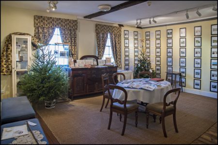Christmas Trees 2016
