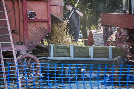 Threshing Day 2016