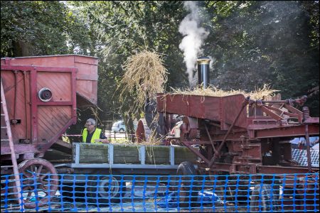 Threshing Day 2016