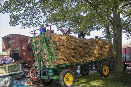 Threshing Day 2016