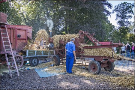 Threshing Day 2016