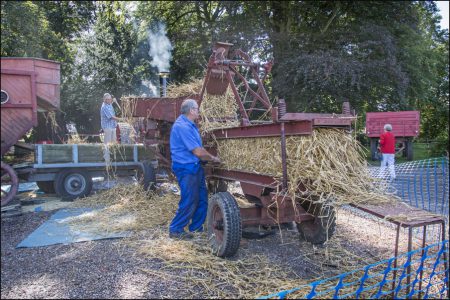 Threshing Day 2016