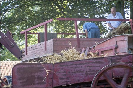 Threshing Day 2016
