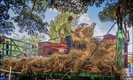 Threshing Day 2016