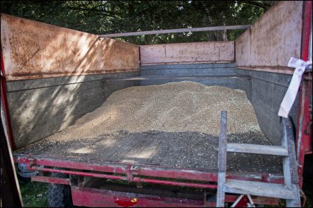 Threshing Day 2016