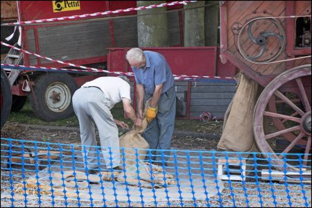 Threshing Day 2016