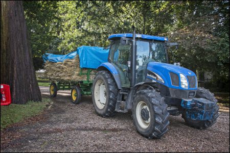 Threshing Day 2016